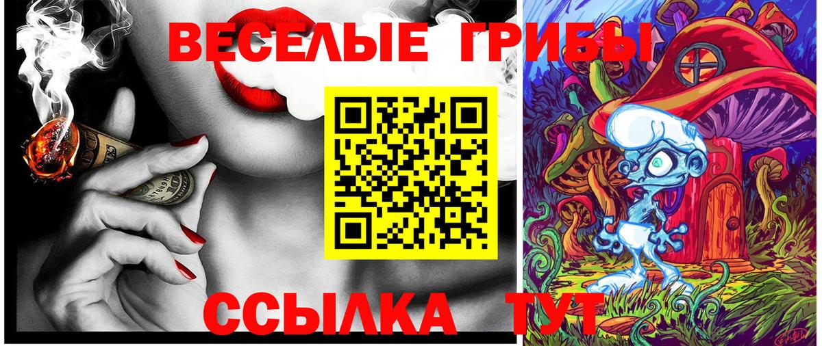 Галлюциногенные грибы Psilocybine cubensis  Вход с VPN  Углич 
